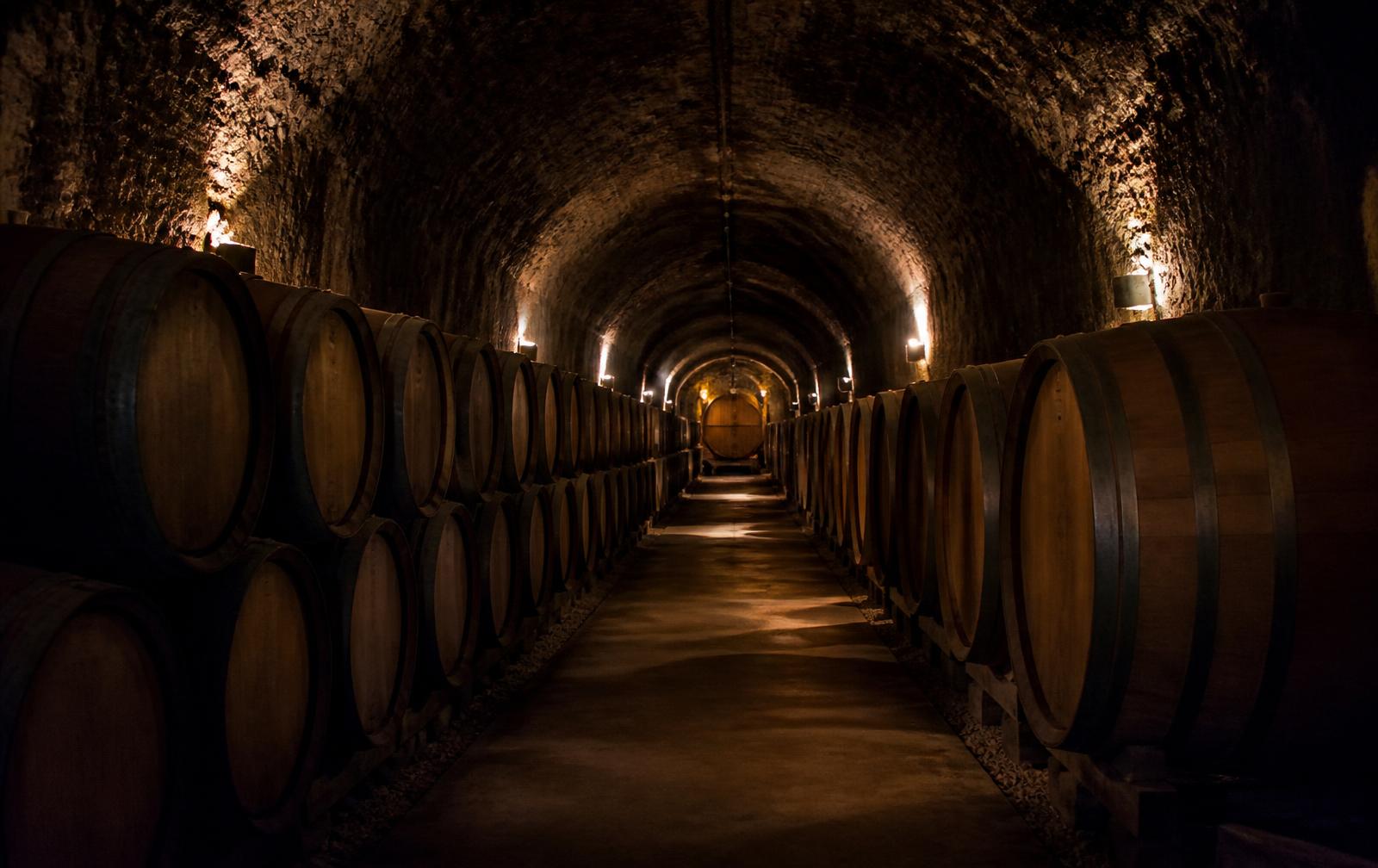 Long barrel-lined wine cave interior under low warm light